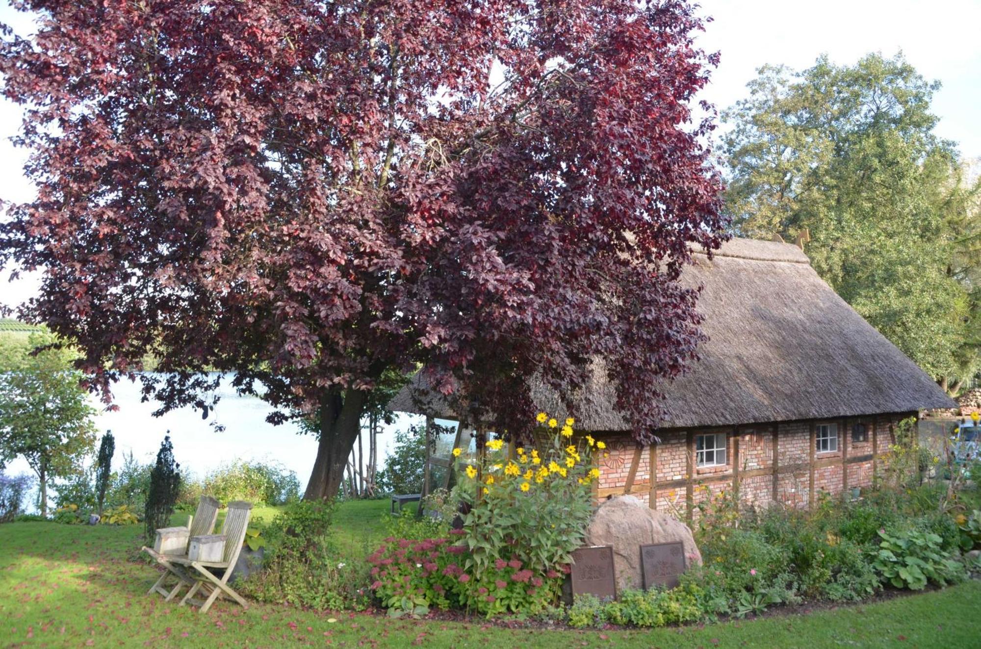 Reetdachkate Auf Gestuet Schierensee Grebin Exterior foto